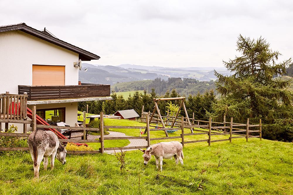 Pension Haus Am Einberg Meschede Exteriör bild